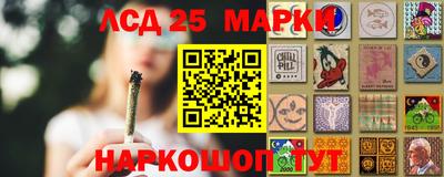 гашик Можга