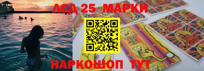 гашик Можга
