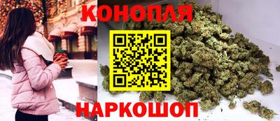 гашик Можга
