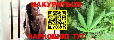 гашик Можга
