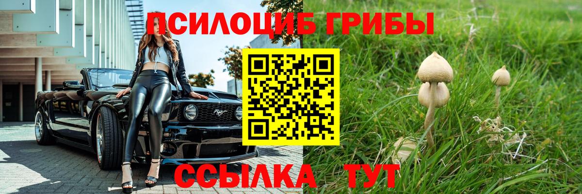 Галлюциногенные грибы Psilocybe  Вход с VPN  Севастополь 